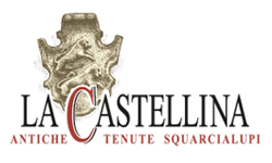 La Castellina, Castellina in Chianti, Siena, Toscana