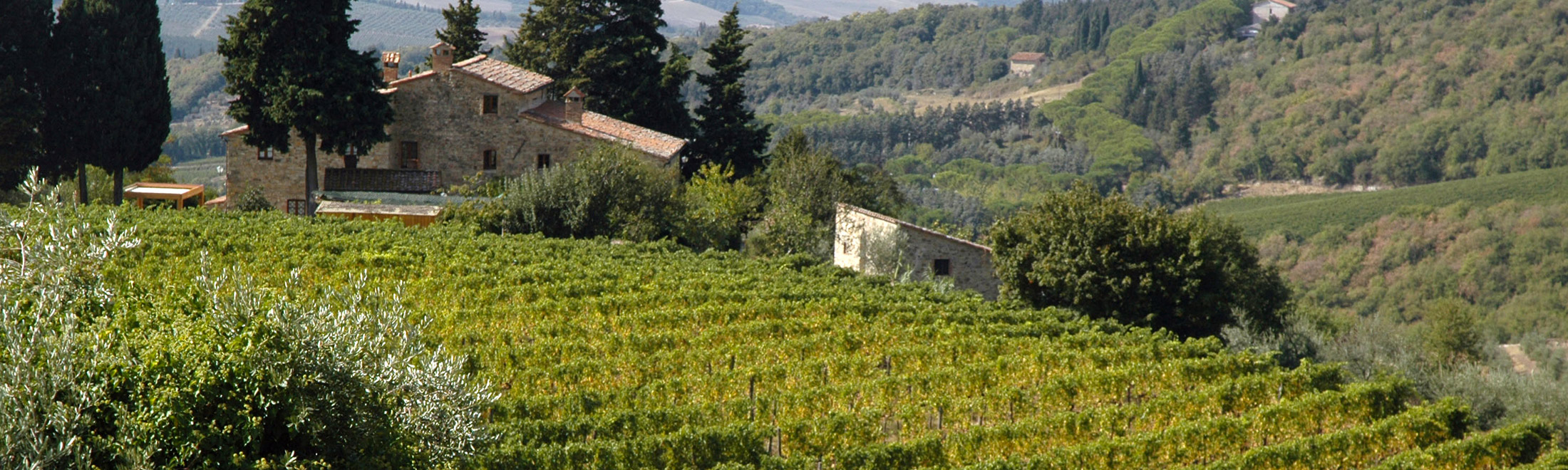 Hotel Castellina in Chianti, Campagna Toscana